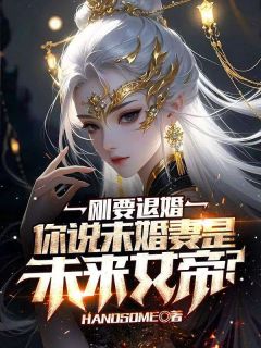 刚要退婚，你说未婚妻是未来女帝？byhandsome小说完结版在线阅读