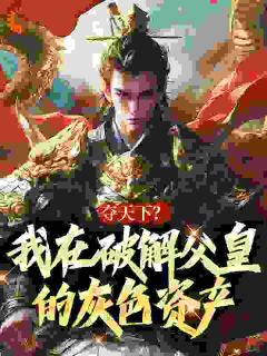 夺天下？我在破解父皇的灰色资产知乎小说最新章节阅读