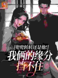 禁欲领导自己养大的心肝宝贝！林晚禾沈砚礼by如若可以zm免费看-暗夜阅读网