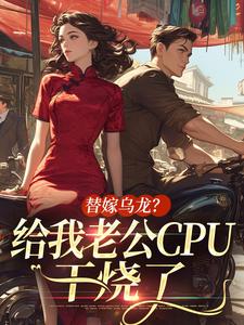 值得熬夜看完的替嫁乌龙？给我老公CPU干烧了小说阅读