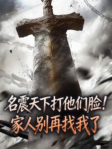 名震天下打他们脸！家人别再找我了小说免费阅读 林天林昊天大结局完整版