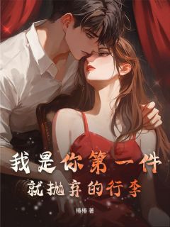 我是你第一件就抛弃的行李小说好看吗 霍砚辞沈怡欣轩轩最后结局如何