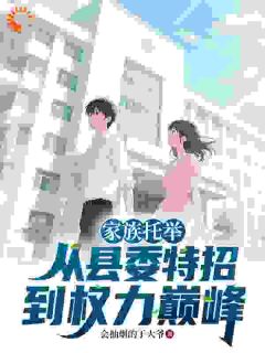 家族托举:从县委特招到权力巅峰完整版-许汉生苏晴在线全文阅读