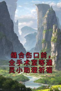 缝合伤口前,全手术室等通灵小助理祈福秦盈盈宋子熙无广告在线阅读