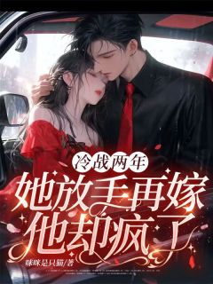 抖音小说两年协议期满，我终于解脱穆禾顾彦承全文txt