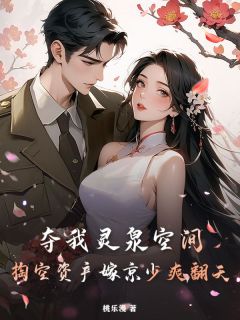 完整版夺我灵泉空间？掏空资产嫁京少爽翻天许如烟贺连城小说免费在线阅读