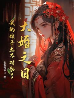 大婚之日，我的娘子太不对劲了！陈玄孟倾城by老紫蜀道山免费看