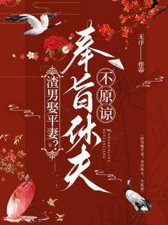 【渣男娶平妻？奉旨休夫，不原谅】主角(沈初初冯言)在线阅读