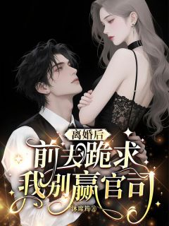 爆款小说离婚后，前夫跪求我别赢官司-主角宁千瓷霍时寒在线阅读