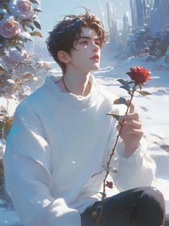 后来雪落再无你小说全集(苏瑾沈曼卿)无弹窗广告阅读