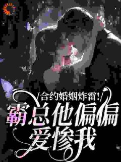 合约婚姻炸雷!霸总他偏偏爱惨我苏简陆屿最新章节在线阅读