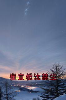 热门推荐崔宜栀沈赫尘by小说家小说正版在线