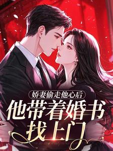 娇妻偷走他心后，他带着婚书找上门（苏暖暖江峥）精彩小说目录阅读