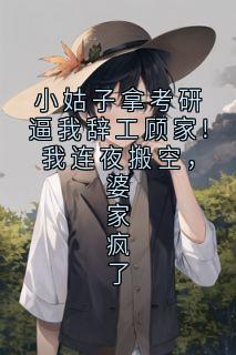 小姑子拿考研逼我辞工顾家!我连夜搬空，婆家疯了主角是冯天宇张翠花小说百度云全文完整版阅读