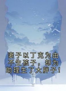 老书虫推荐妻子以丁克为由不生孩子，却为助理生了大胖子！ 在线阅读