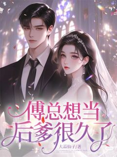 独家傅总想当后爹很久了全本大结局小说阅读