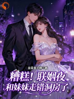 老书虫书荒推荐糟糕！联姻夜，和妹妹进错洞房了txt小说阅读