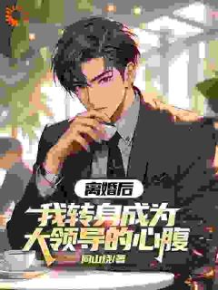 离婚后，我转身成为大领导的心腹小说韩铮柳曼免费阅读