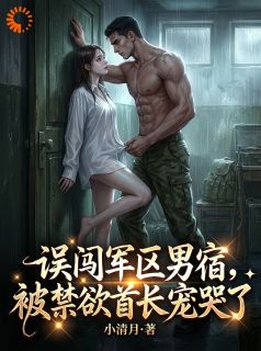 苏曼陆战小清月小说全章节最新阅读