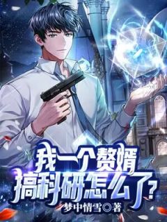 好看的我一个赘婿，搞科研怎么了？小说-我一个赘婿，搞科研怎么了？最新章节阅读