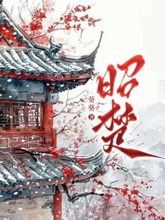 书荒必备林婉柔昭昭小说