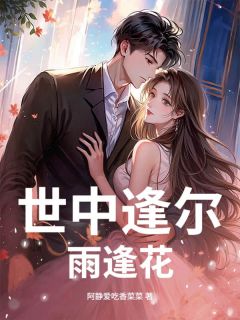 爆款小说世中逢尔雨逢花主角苏瑾怀陈斯宇全文在线完本阅读