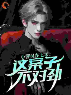 小警员在七零：这案子不对劲！小说的书名是什么