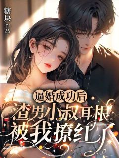 逼婚成功后,渣男小叔耳根被我撩红了(全本)秦晚晚陆戟完整章节列表免费阅读