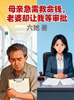 母亲急需救命钱，老婆却让我等审批（全本）陈安杨淑琦完整章节列表免费阅读