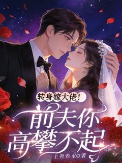 抖音爆款小说转身嫁大佬！前夫你高攀不起苏云锦墨年祁免费txt全文阅读