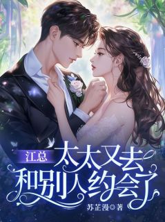 江总，太太又去和别人约会了未删减阅读