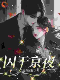 (抖音小说)林忱陆迟野小说全文阅读免费