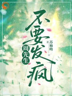 周先生不要发疯未删减阅读