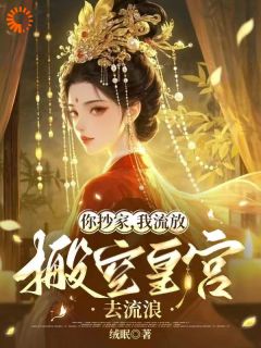 你抄家，我流放，搬空皇宫去流浪是什么小说顾小暖厉寒洲全本免费阅读