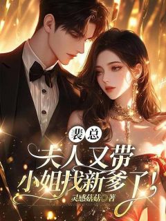 裴总，夫人又带小姐找新爹了！(温芙裴以燃)小说全章节目录阅读