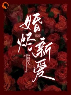 婚烬新爱免费小说作者肠粉匠人全文阅读