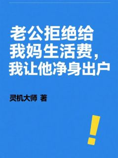 无弹窗小说老公拒绝给我妈生活费，我让他净身出户 作者灵机大师