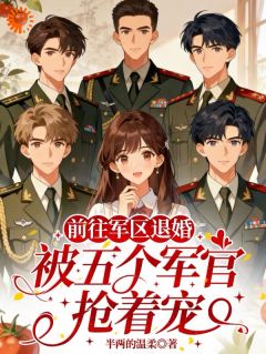 前往军区退婚，被五个军官抢着宠是什么小说林念念沈烨全本免费阅读