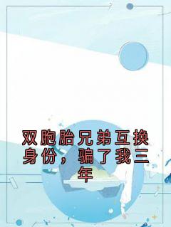 小说推荐双胞胎兄弟互换身份，骗了我三年完结版全章节阅读