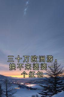 三十万欧洲游，换不来婆婆一个红包林舒周明轩-小说txt全文阅读