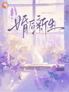 (全集-免费)嫁给财阀掌权人后,小可怜被捧掌心完本小说_奚念叶屿澈全文免费阅读