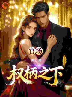 最完整版官路：权柄之下热门连载小说