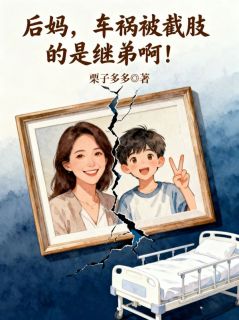 后妈，车祸被截肢的是继弟啊！小说陈梅林舟最新章节阅读