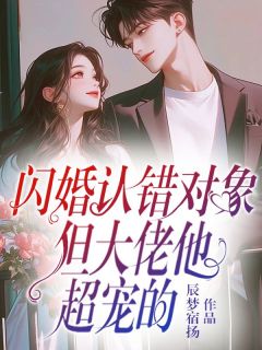 闪婚认错对象，但大佬他超宠的在线全文阅读-主人公苏念沈墨小说