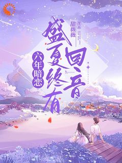 全网首发完整小说六年暗恋，盛夏终有回音主角盛夏周时宴在线阅读