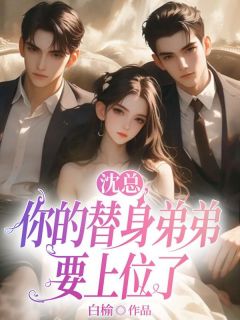 沈总，你的替身弟弟要上位了全文目录-安茴沈耀小说无弹窗阅读