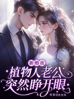新婚夜，植物人老公突然睁开眼(火火火)最佳创作小说全文在线阅读