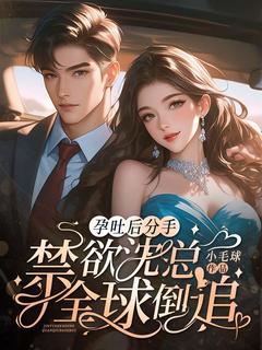 主角鹿晚宁沈衍之小说爆款孕吐后分手，禁欲沈总全球倒追！完整版小说