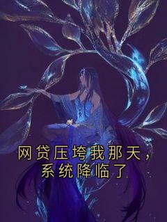 热门小说网贷压垮我那天，系统降临了完整版全文阅读