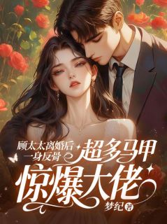 顾太太离婚后一身反骨，超多马甲惊爆大佬完整版-苏陌战北萧在线全文阅读